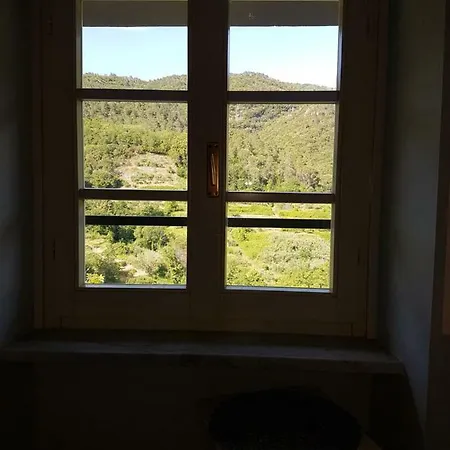 La Bargonella