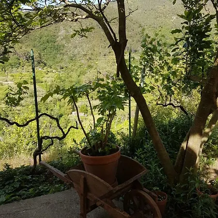 Affittacamere La Bargonella