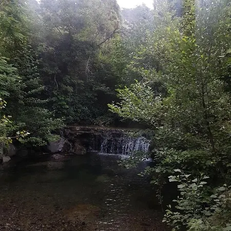 La Bargonella Affittacamere Bargone