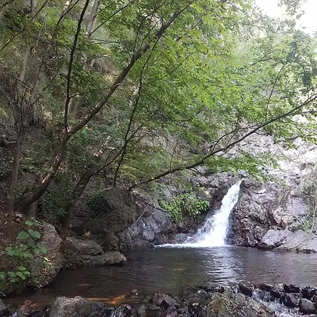 La Bargonella Bargone